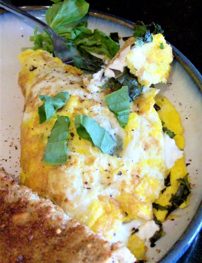Goat Cheese and Basil Omelet