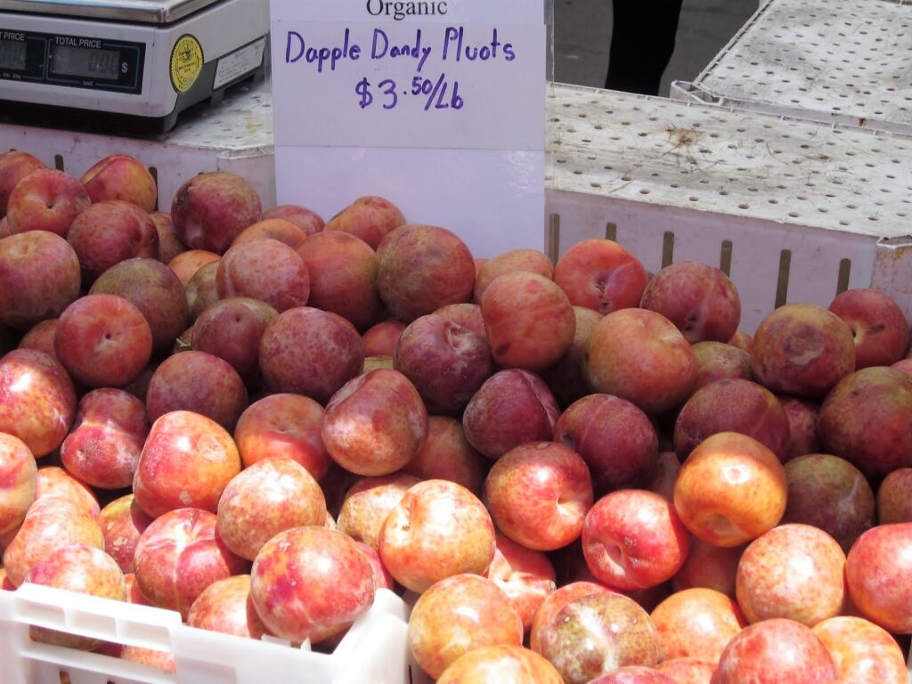 Dapple Dandy Pluots at a San Francisco market